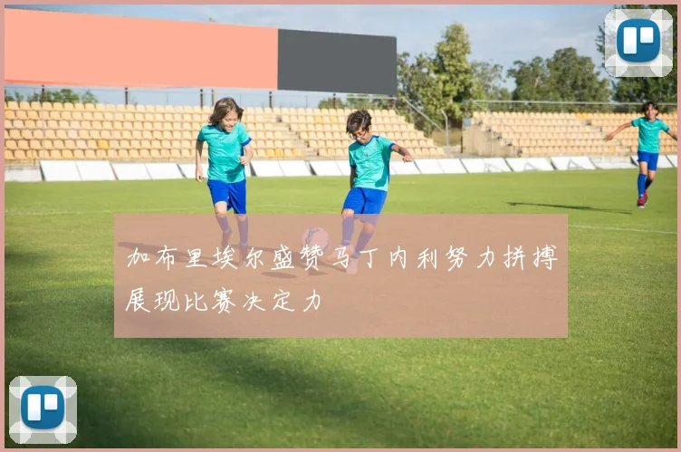 加布里埃尔盛赞马丁内利努力拼搏展现比赛决定力