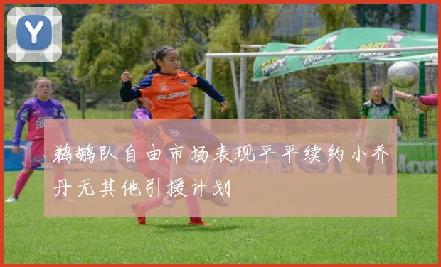鹈鹕队自由市场表现平平续约小乔丹无其他引援计划